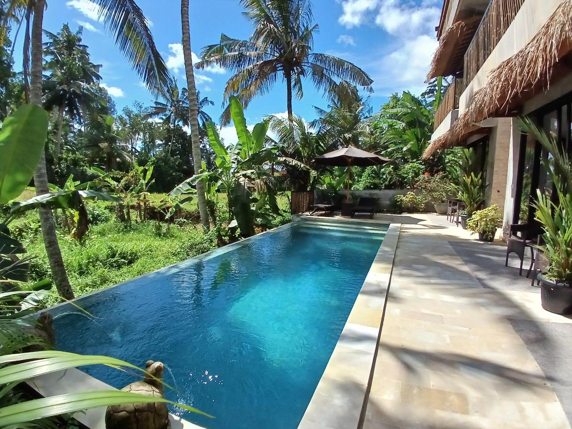Bali View Ubud Hotel Buitenkant foto